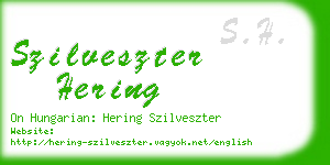 szilveszter hering business card